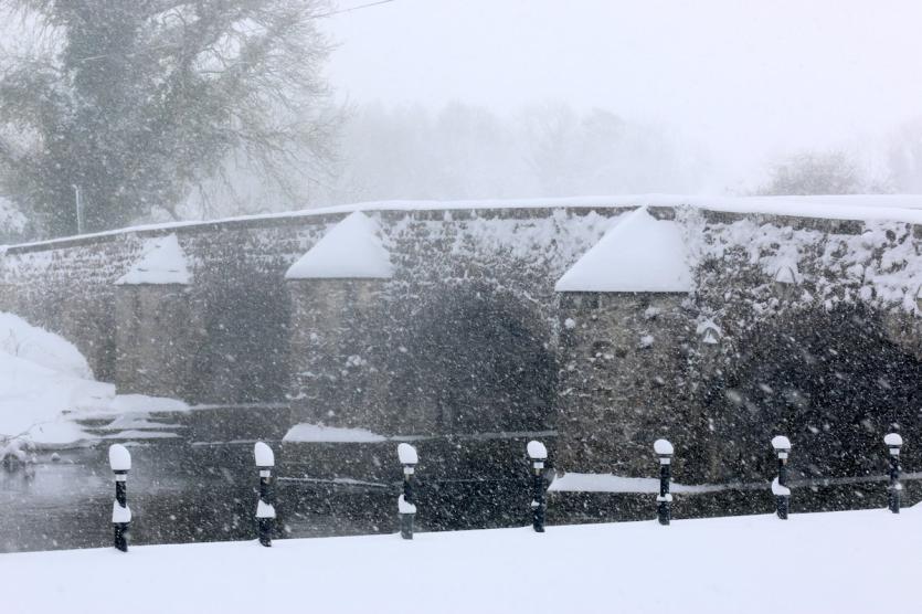Newcastle Wood under a blanket of snow 