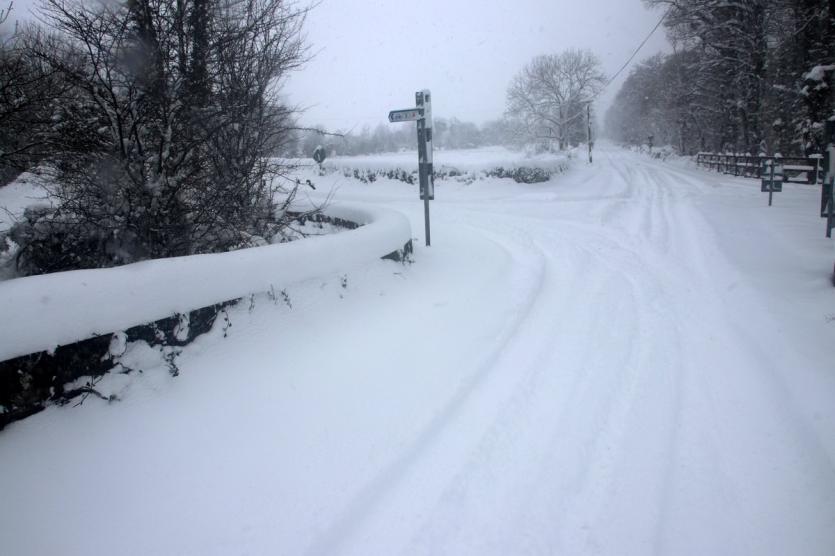 Newcastle Wood under a blanket of snow 