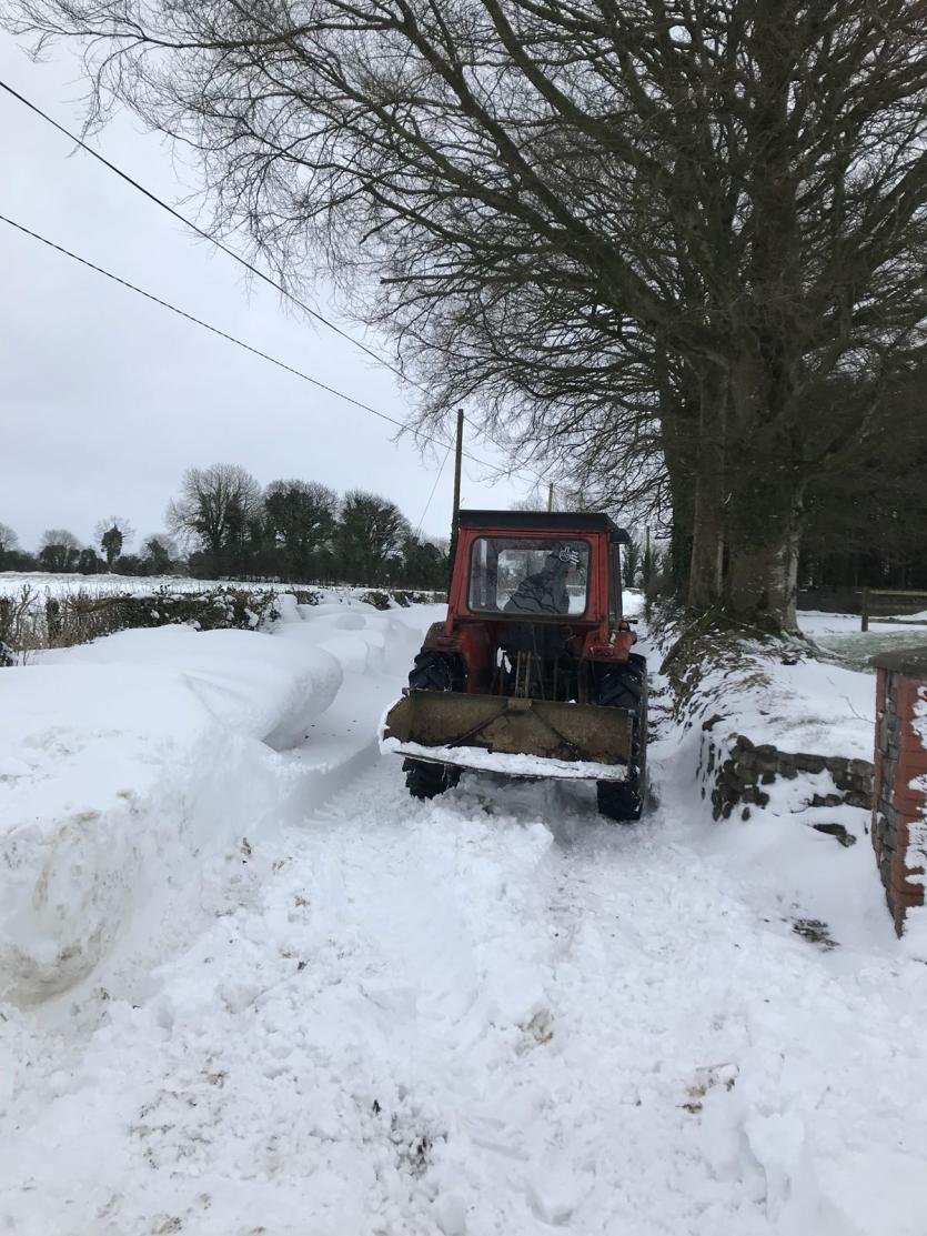 Shovel ready in Corboy!