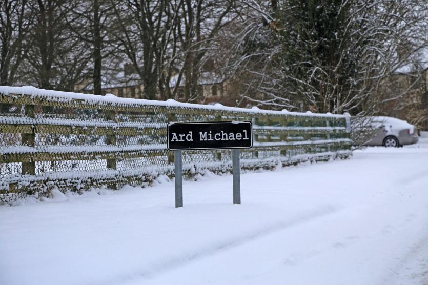 Lovely snow images from around Longford town following Storm Emma 