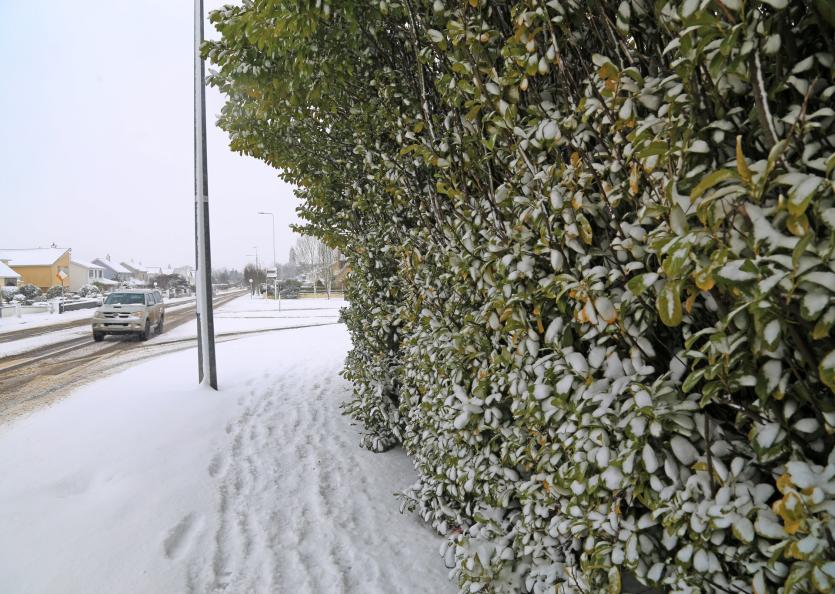Lovely snow images from around Longford town following Storm Emma 