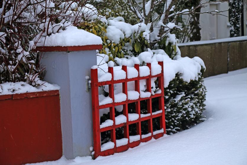 Lovely snow images from around Longford town following Storm Emma 