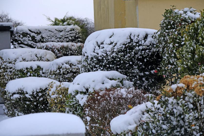 Lovely snow images from around Longford town following Storm Emma 