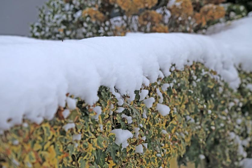Lovely snow images from around Longford town following Storm Emma 
