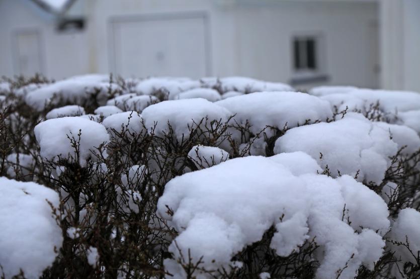 Lovely snow images from around Longford town following Storm Emma 