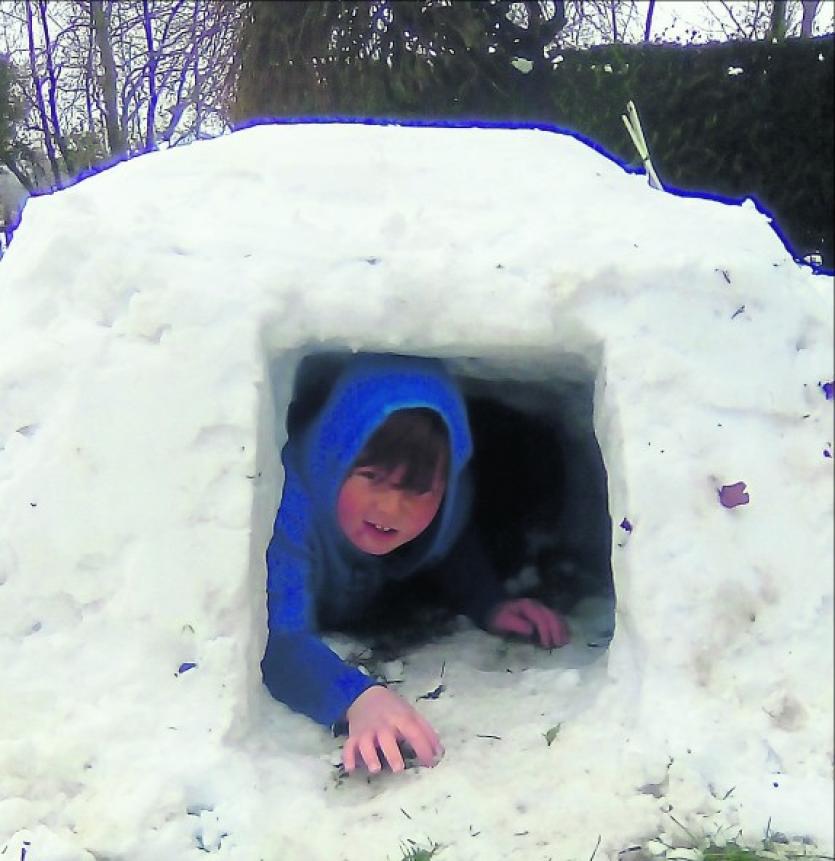 Fun in the Snow Around Longford 