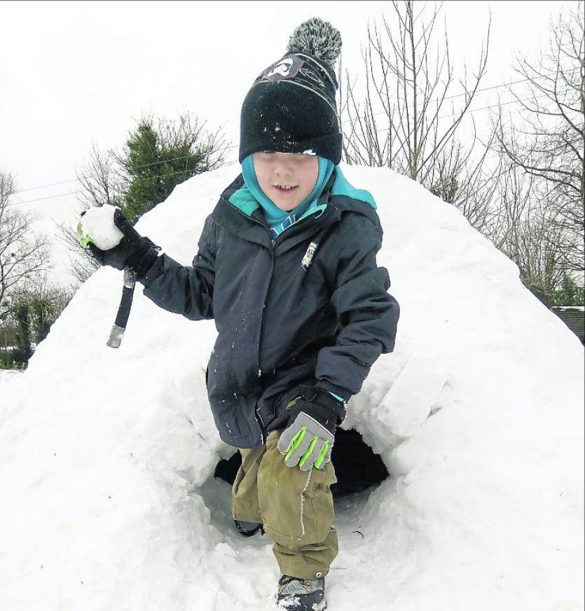 Fun in the Snow Around Longford 