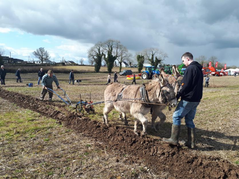 Co Longford Ploughing Championships 2018