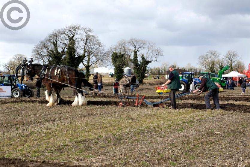Co Longford Ploughing Championships