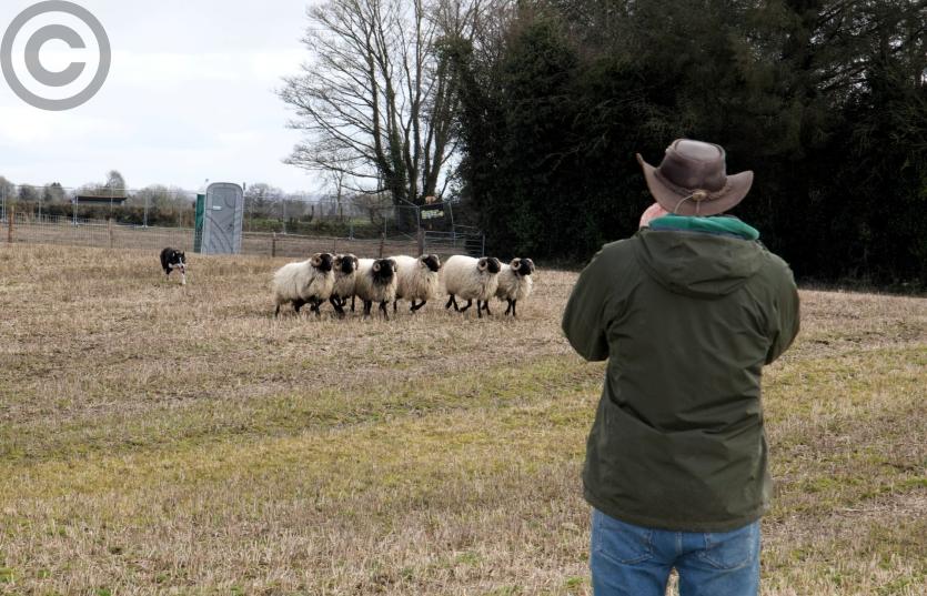 Co Longford Ploughing Championships