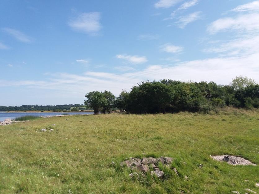 Lough Ree Action Team in Longford working to protect endangered Curlew species