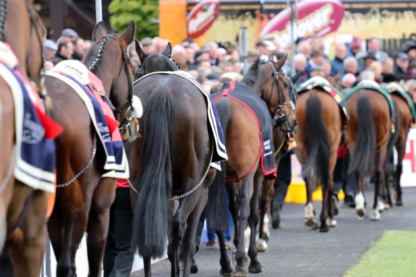 Punchestown Festival
