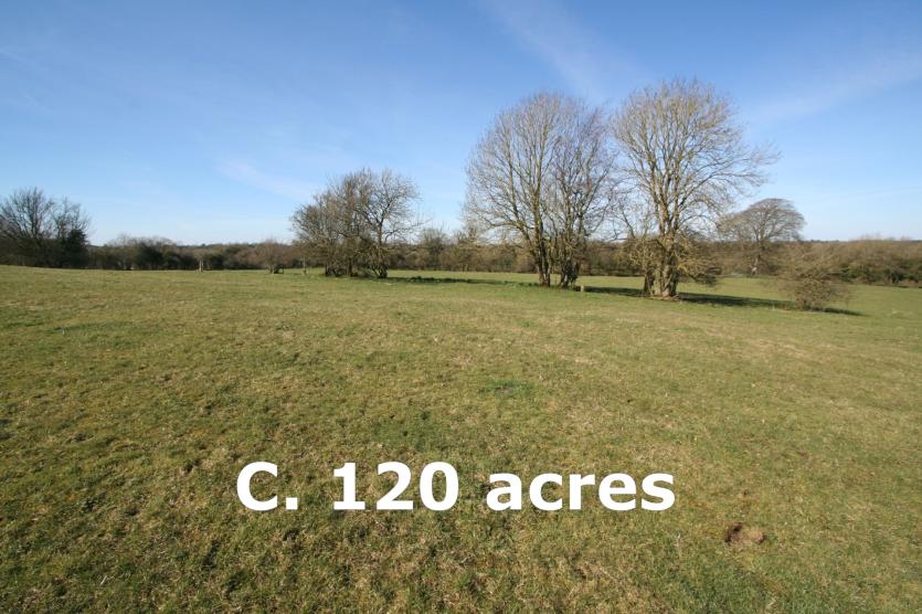 Westmeath farmer purchases 120 acres for €790,000 at auction 