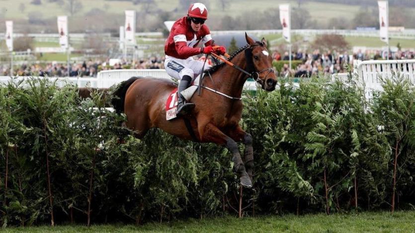 Grand National winner Tiger Roll on parade at Kilbeggan Races