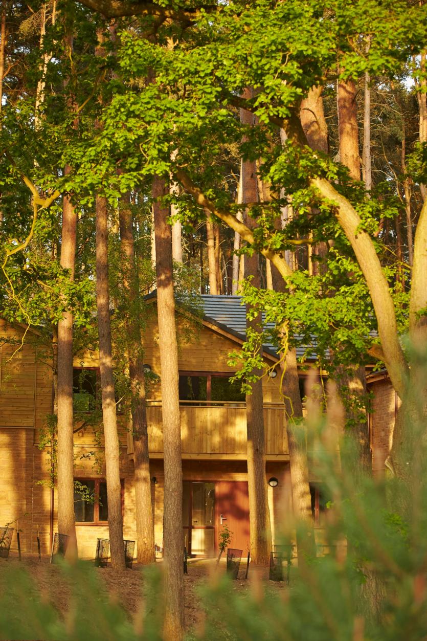 Photo Gallery: Spectacular aerial photographs reveal construction progress at €233m Center Parcs Longford Forest holiday resort