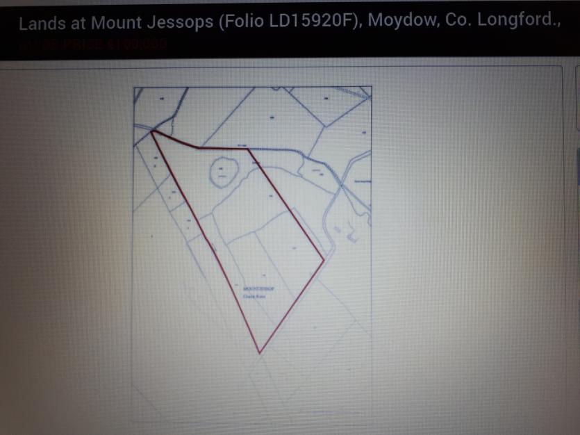 Forty acres of land at Moydow, county Longford sells for €100,000