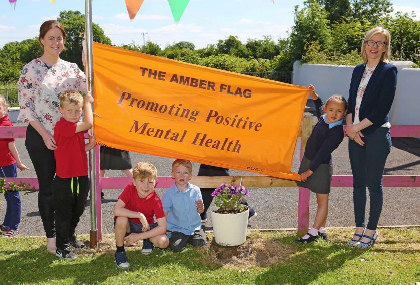 St Mary’s National School, Rathowen awarded Amber Flag for promoting positive mental health