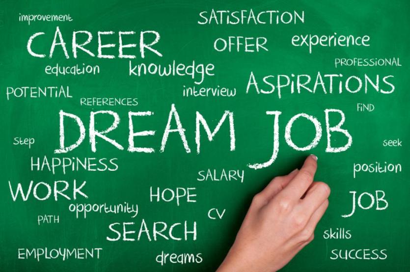 Longford Leader Jobs Alert: Lakeland Town and Country require assistant / trainee manager for Longford store