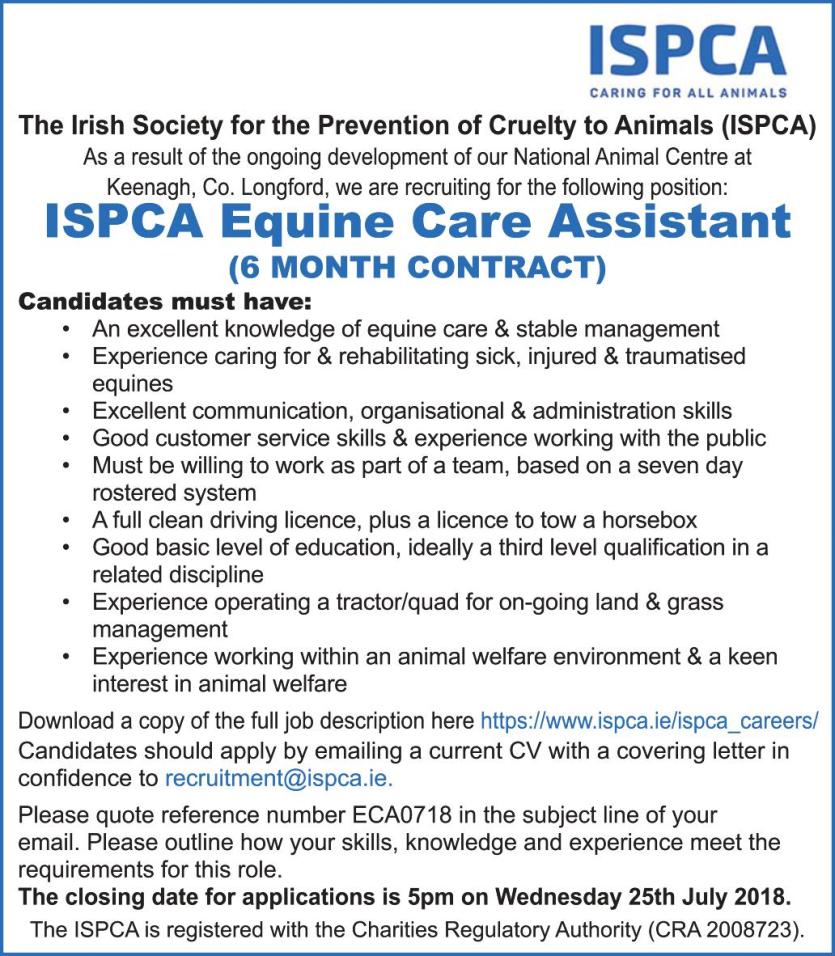 Longford Leader Jobs Alert: ISPCA recruiting an Equine Care Assistant  for their National Animal Centre at Kenagh
