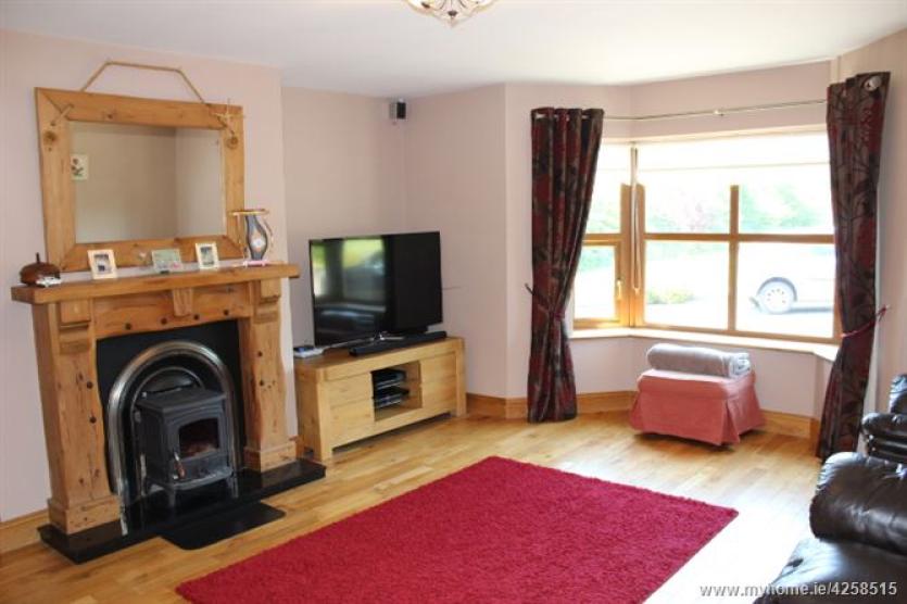 For €349,000 you can own Drumure, one of the finest properties in Longford