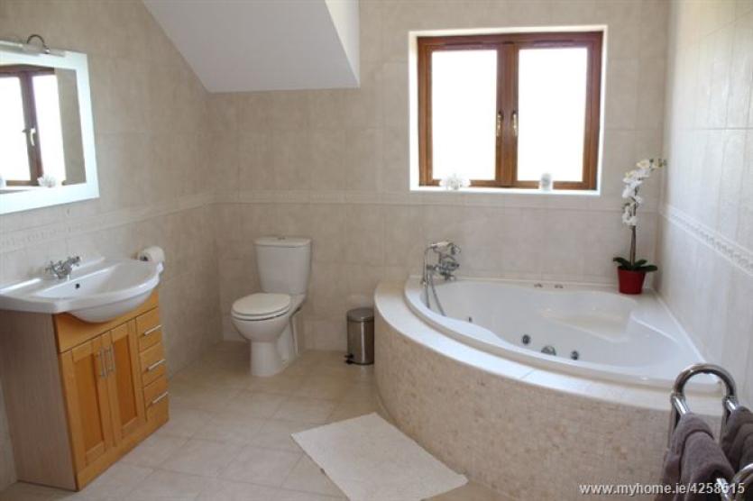 For €349,000 you can own Drumure, one of the finest properties in Longford