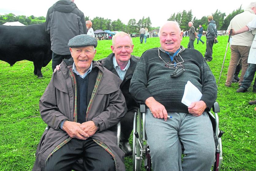 Gallery | 91st Mohill Agricultural Show a huge success