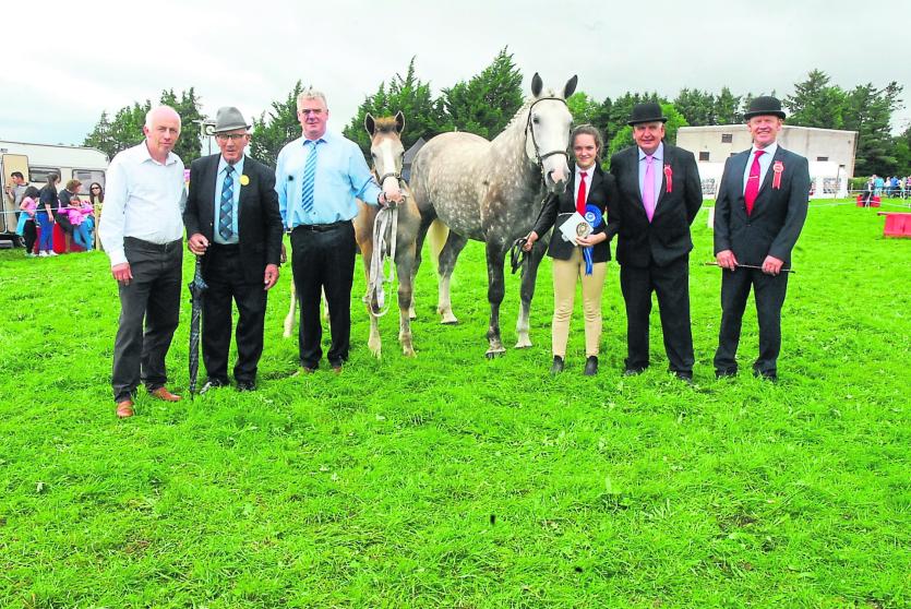 Gallery | 91st Mohill Agricultural Show a huge success