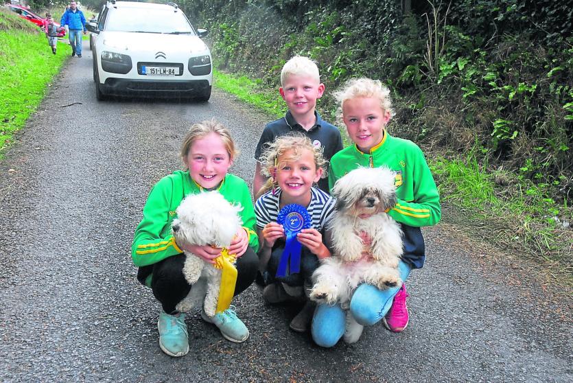 Gallery | 91st Mohill Agricultural Show a huge success