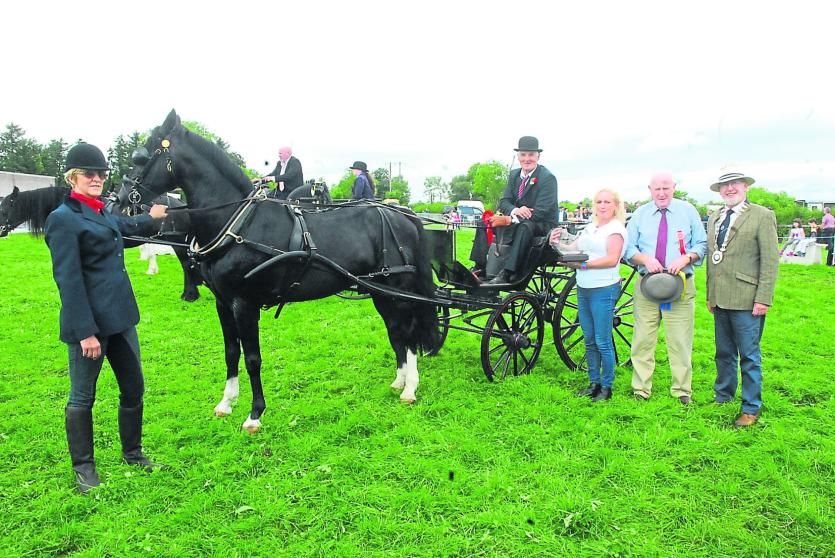 Gallery | 91st Mohill Agricultural Show a huge success