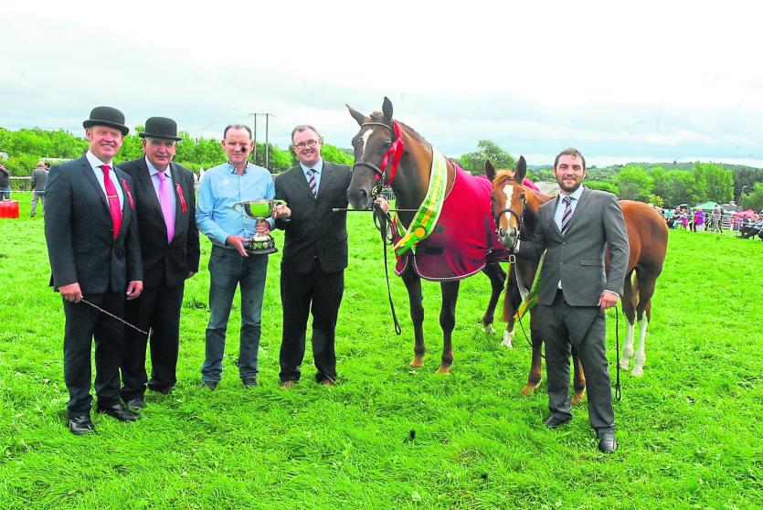 Gallery | 91st Mohill Agricultural Show a huge success