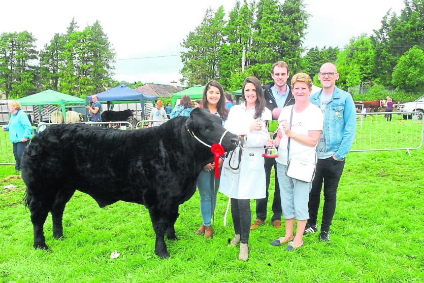 Gallery | 91st Mohill Agricultural Show a huge success