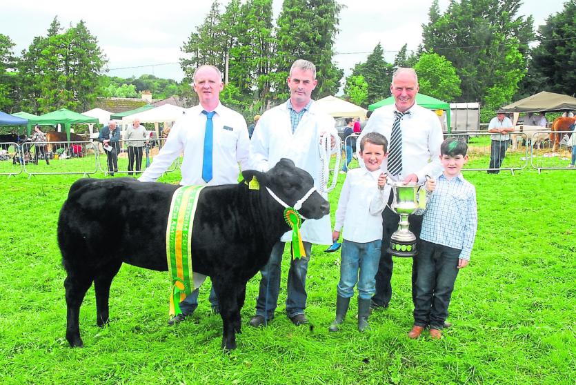 Gallery | 91st Mohill Agricultural Show a huge success