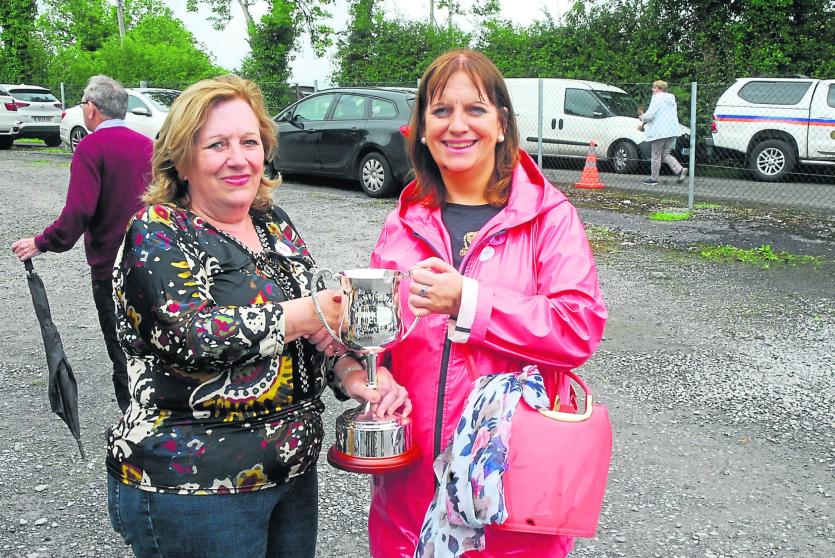 Gallery | 91st Mohill Agricultural Show a huge success