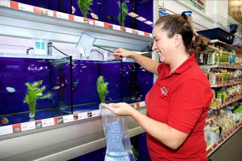 Pet Stop Discount Warehouse & Fuel Centre in Longford opens its doors