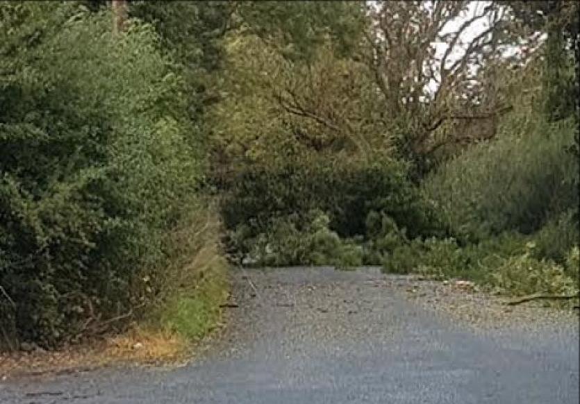 Storm Ali in Longford