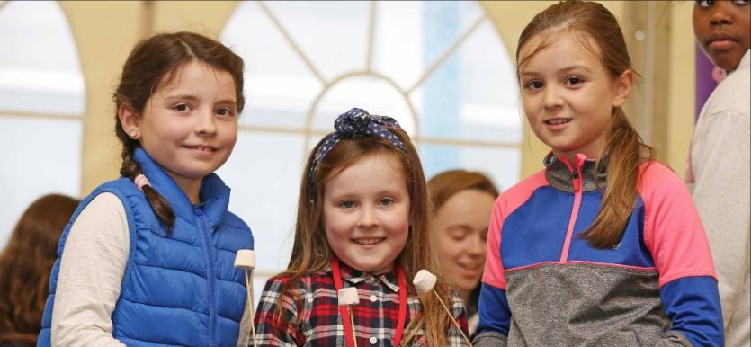 Aisling Festival