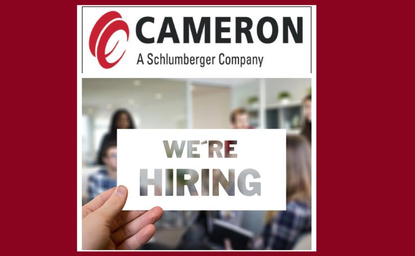 Longford Leader Jobs Alert: Cameron Ireland in Longford looking to recruit a Product Design Engineer