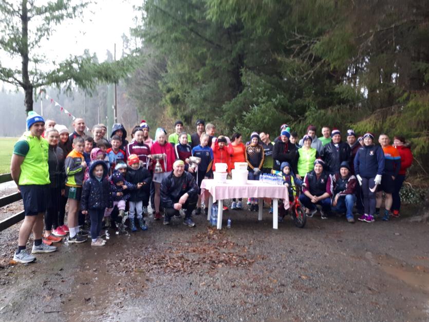Mullinalaghta GAA family gripped by Leinster final fever as good luck messages are erected across north Longford 