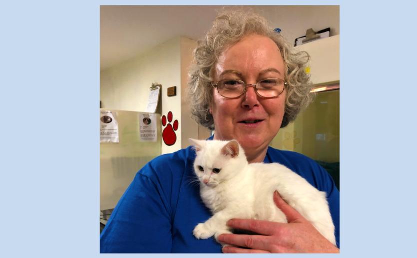 Three Longford ISPCA volunteers shortlisted for Volunteer Ireland Awards 2018