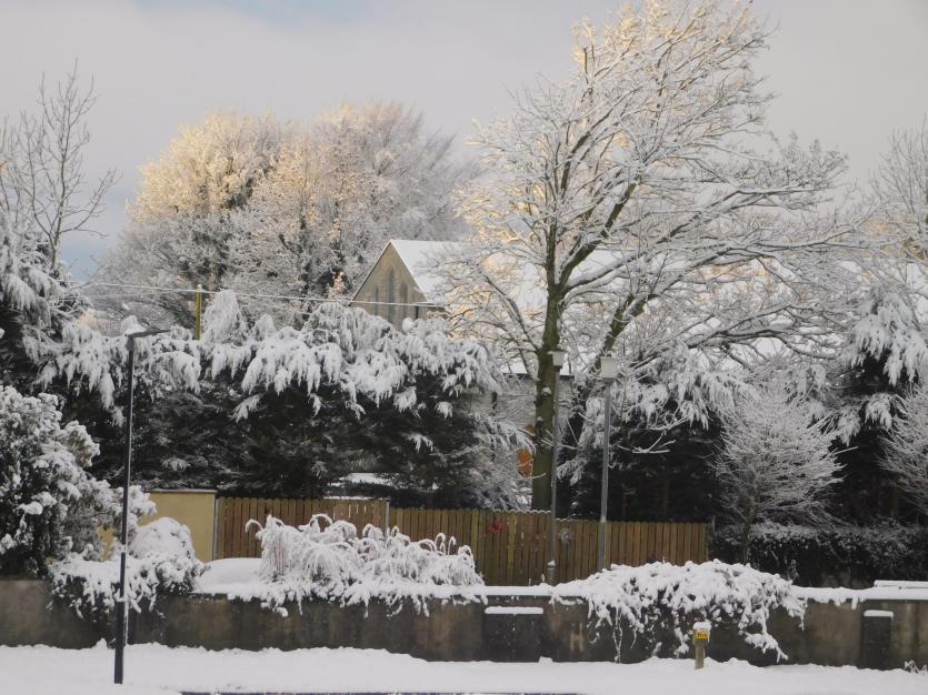 GALLERY | Snow much fun across Longford's Winter wonderland
