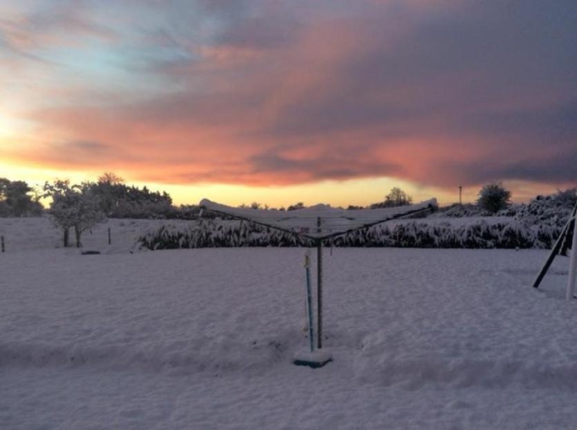 GALLERY | Snow much fun across Longford's Winter wonderland