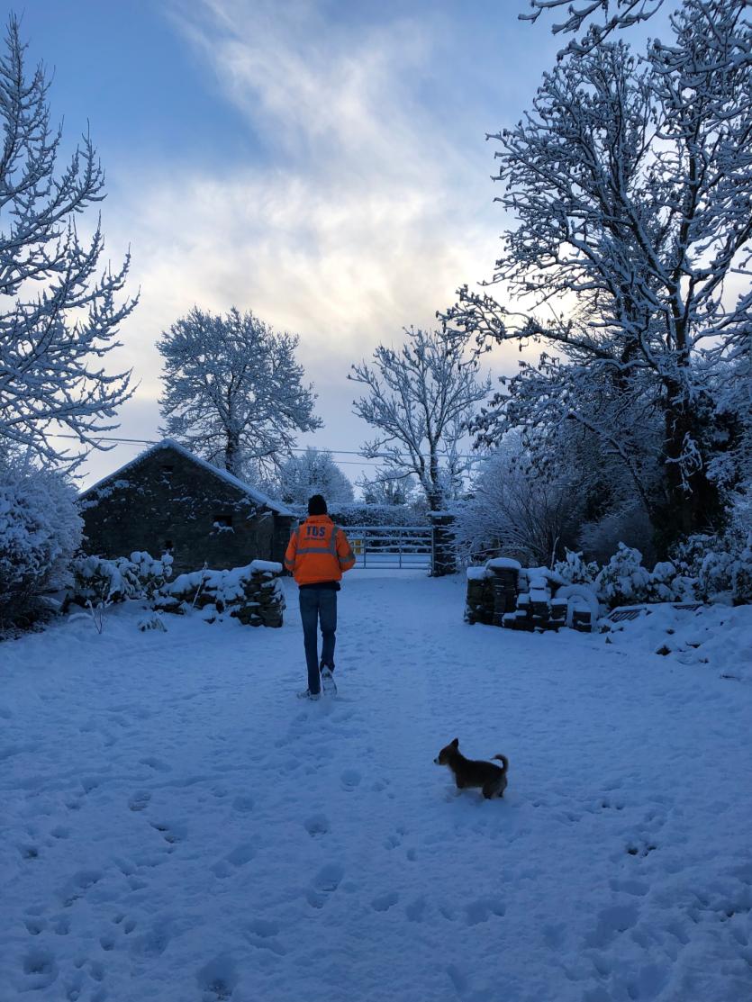 GALLERY | Snow much fun across Longford's Winter wonderland