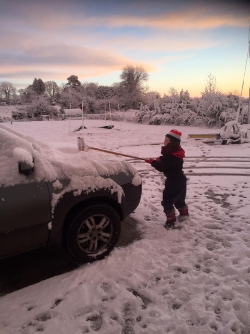 GALLERY | Snow much fun across Longford's Winter wonderland