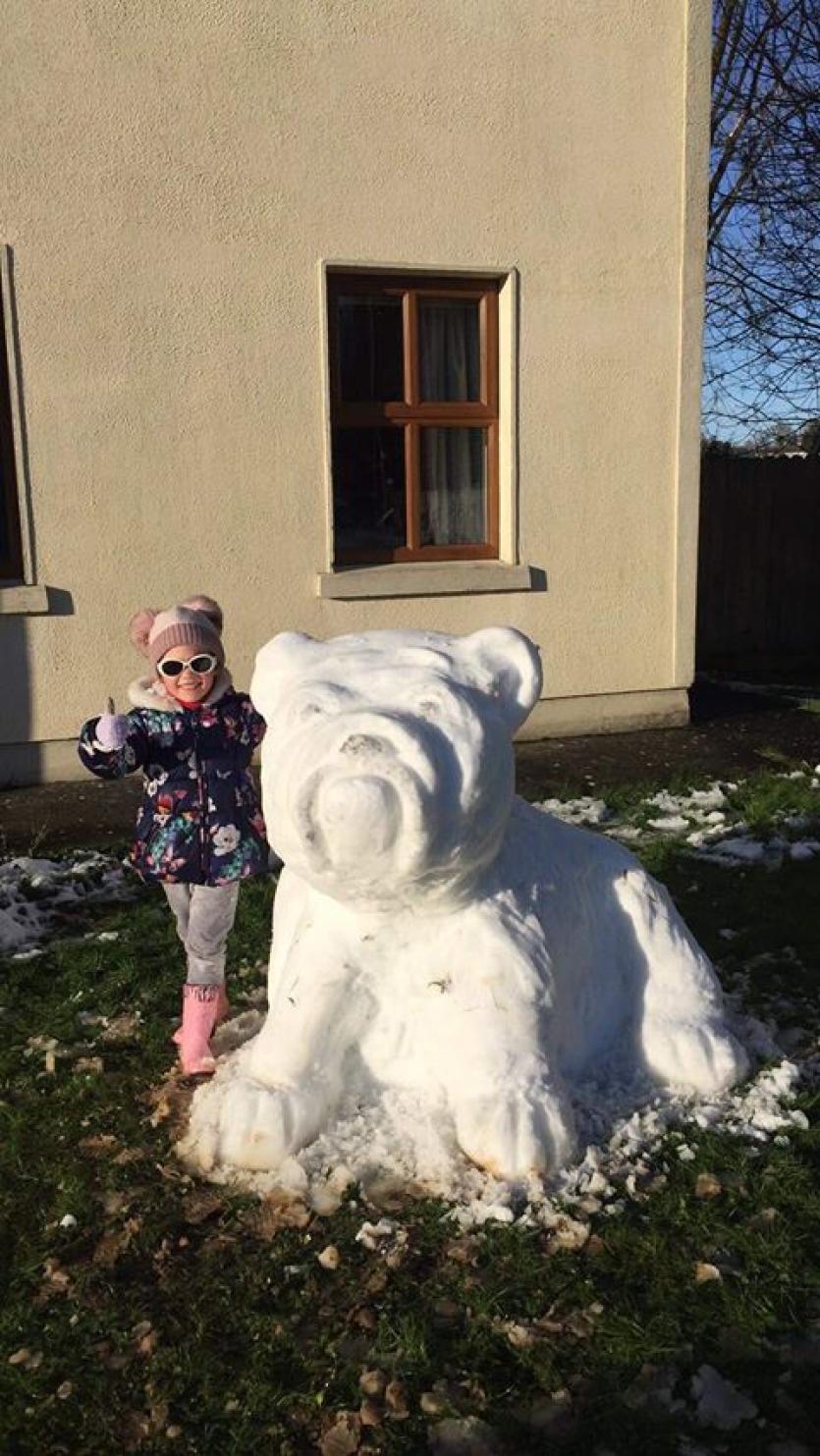GALLERY | More of your magical Longford Snow Day photos