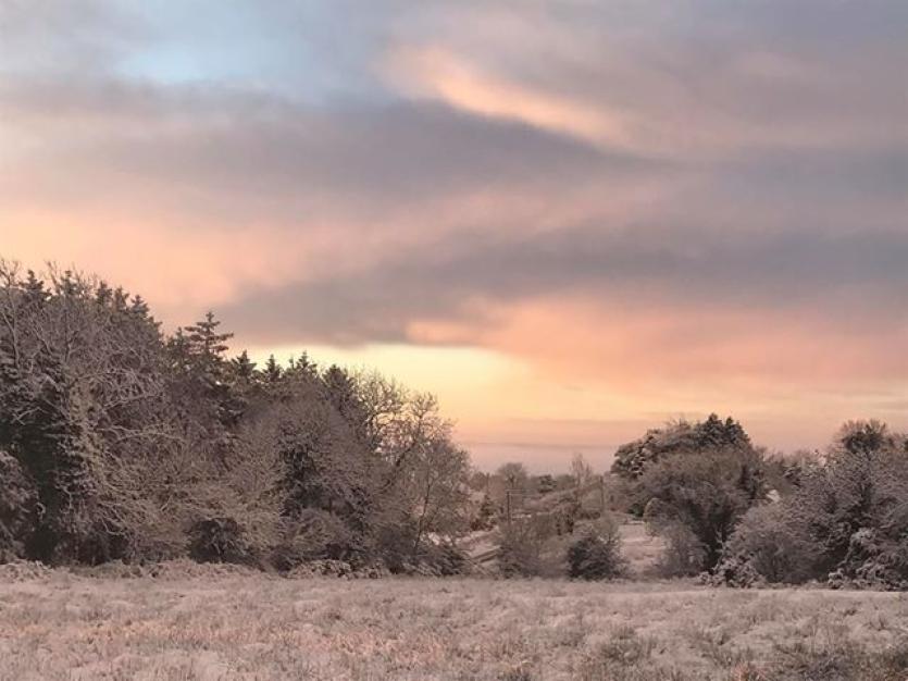 GALLERY | More of your magical Longford Snow Day photos