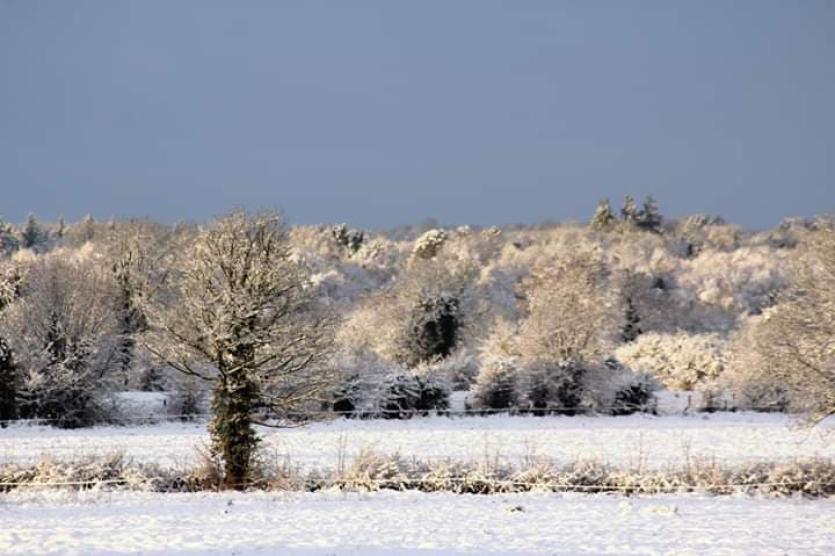 GALLERY | More of your magical Longford Snow Day photos