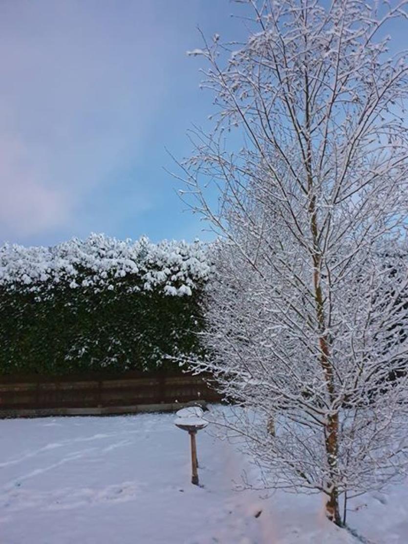 GALLERY | More of your magical Longford Snow Day photos