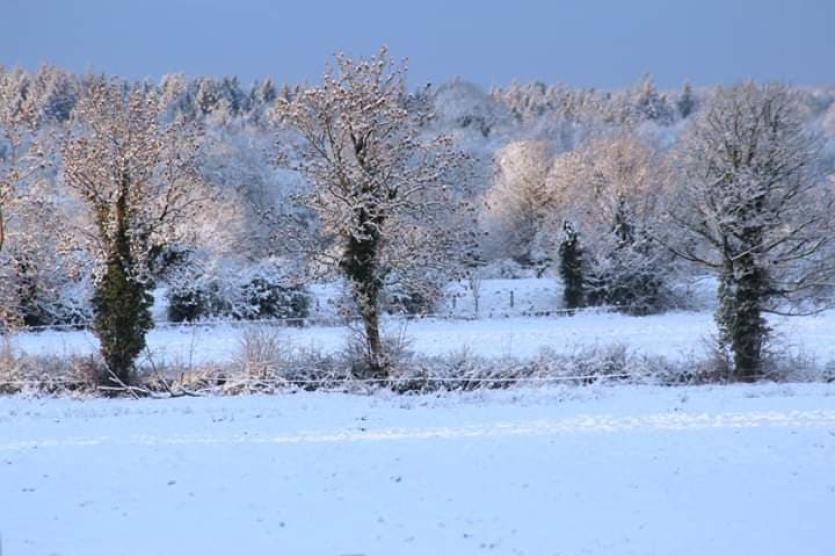 GALLERY | More of your magical Longford Snow Day photos