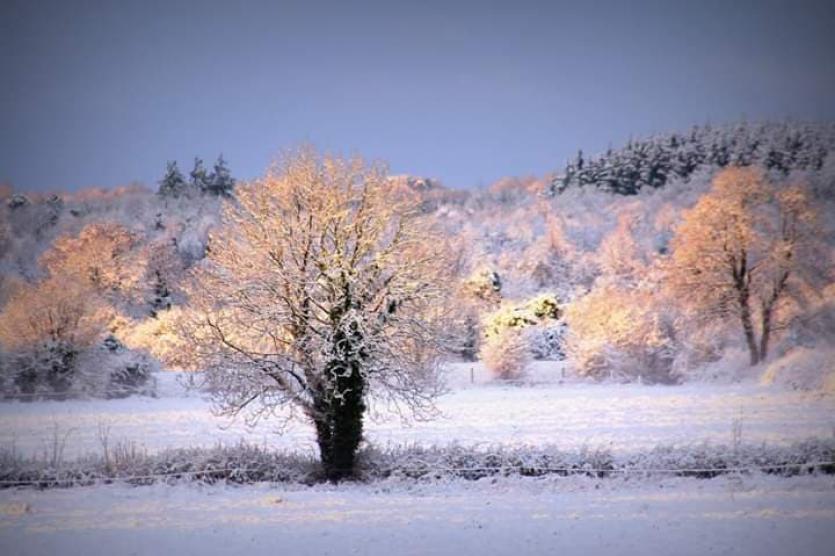 GALLERY | More of your magical Longford Snow Day photos
