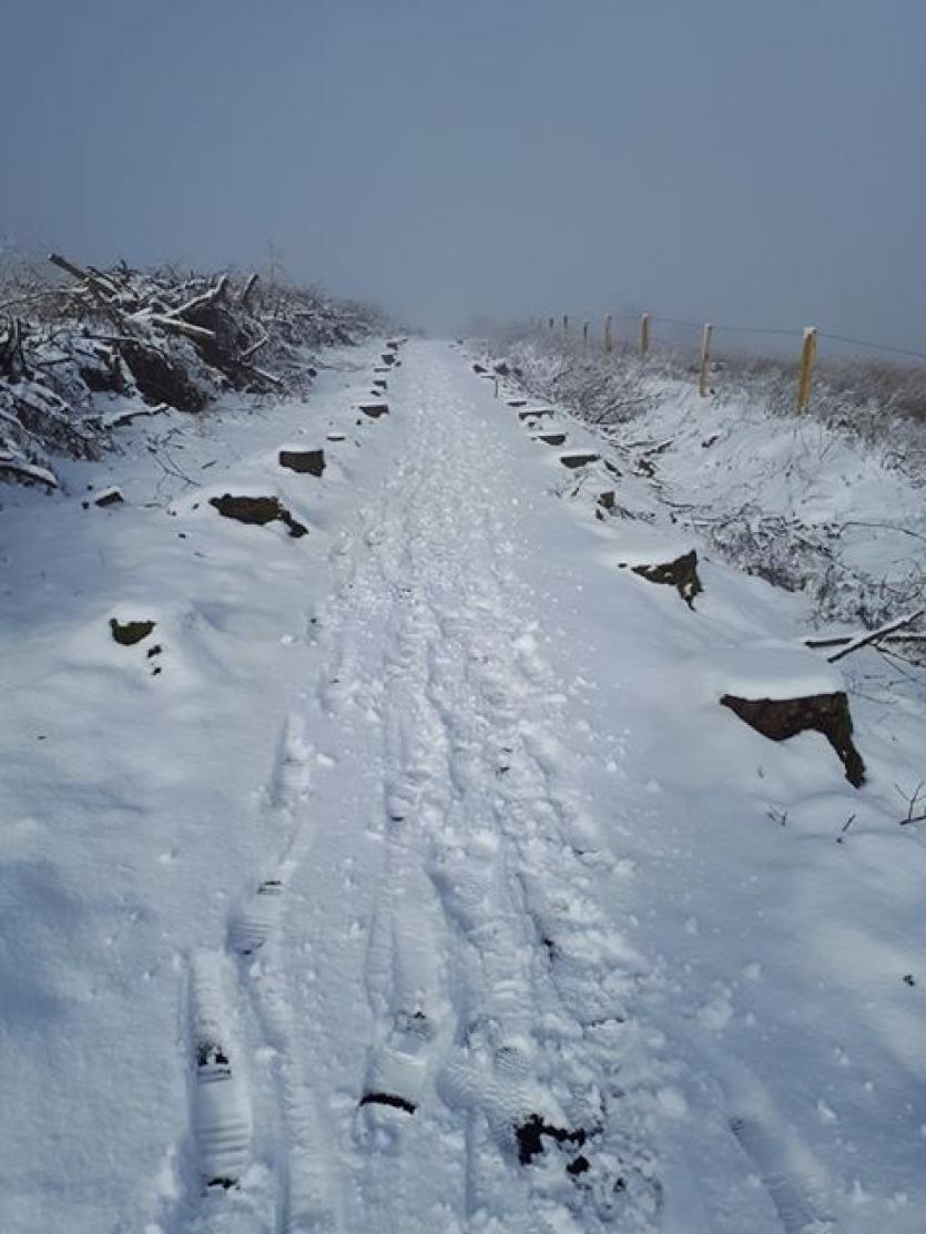GALLERY | More of your magical Longford Snow Day photos